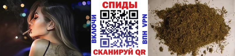 гидра вход  Андреаполь  Бутират буратино 